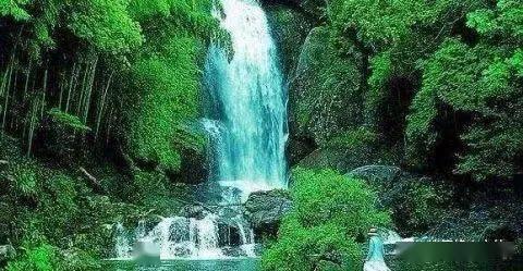 虫虫助手下载